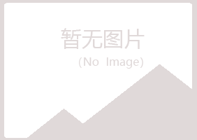 阳泉白山化学有限公司